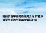 鲜的多音字组词语组词介绍 鲜的多音字组词语组词详细情况如何
