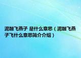 泥融飞燕子 是什么意思（泥融飞燕子飞什么意思简介介绍）