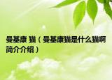 曼基康 猫（曼基康猫是什么猫啊简介介绍）