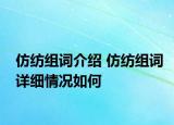 仿纺组词介绍 仿纺组词详细情况如何