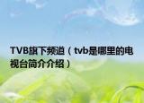 TVB旗下频道（tvb是哪里的电视台简介介绍）