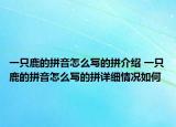 一只鹿的拼音怎么写的拼介绍 一只鹿的拼音怎么写的拼详细情况如何