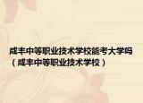 咸丰中等职业技术学校能考大学吗（咸丰中等职业技术学校）