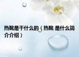 热靴是干什么的（热靴 是什么简介介绍）
