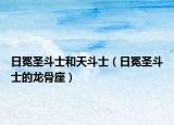日冕圣斗士和天斗士（日冕圣斗士的龙骨座）