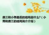 唐三和小舞最后的结局是什么?（小舞和唐三的结局简介介绍）