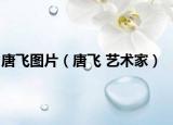 唐飞图片（唐飞 艺术家）