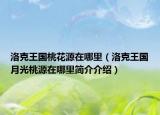 洛克王国桃花源在哪里（洛克王国月光桃源在哪里简介介绍）