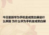 今日更新华为手机变成黑白屏是什么原因 为什么华为手机变成黑白屏