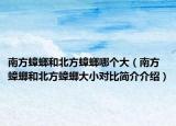 南方蟑螂和北方蟑螂哪个大（南方蟑螂和北方蟑螂大小对比简介介绍）
