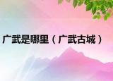 广武是哪里（广武古城）