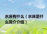 水床有什么（水床是什么简介介绍）