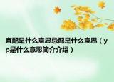 宜配是什么意思忌配是什么意思（yp是什么意思简介介绍）
