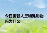 今日更新人是哺乳动物吗为什么