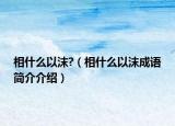 相什么以沫?（相什么以沫成语简介介绍）