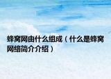 蜂窝网由什么组成（什么是蜂窝网络简介介绍）