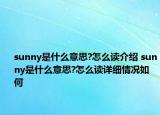 sunny是什么意思?怎么读介绍 sunny是什么意思?怎么读详细情况如何