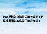 魅族手机怎么把推送服务关闭（魅族推送服务怎么关闭简介介绍）