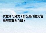 代数式可分为（什么是代数式包括哪些简介介绍）