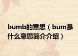 bumb的意思（bum是什么意思简介介绍）