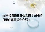 sd卡根目录是什么东西（sd卡根目录在哪里简介介绍）