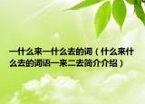 一什么来一什么去的词（什么来什么去的词语一来二去简介介绍）