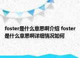 foster是什么意思啊介绍 foster是什么意思啊详细情况如何