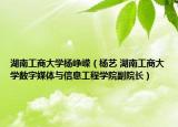 湖南工商大学杨峥嵘（杨艺 湖南工商大学数字媒体与信息工程学院副院长）