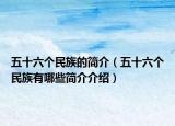五十六个民族的简介（五十六个民族有哪些简介介绍）