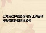 上海劳动仲裁咨询介绍 上海劳动仲裁咨询详细情况如何