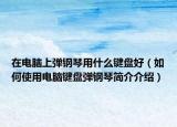 在电脑上弹钢琴用什么键盘好（如何使用电脑键盘弹钢琴简介介绍）
