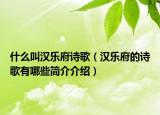 什么叫汉乐府诗歌（汉乐府的诗歌有哪些简介介绍）