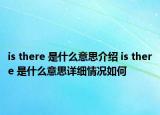 is there 是什么意思介绍 is there 是什么意思详细情况如何