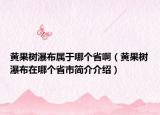 黄果树瀑布属于哪个省啊（黄果树瀑布在哪个省市简介介绍）