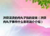 洪欣滚烫的肉丸子指的是谁（洪欣肉丸子事件什么意思简介介绍）