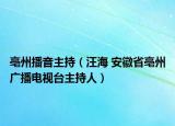 亳州播音主持（汪海 安徽省亳州广播电视台主持人）