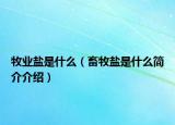 牧业盐是什么（畜牧盐是什么简介介绍）