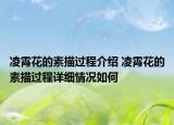 凌霄花的素描过程介绍 凌霄花的素描过程详细情况如何