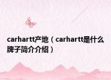 carhartt产地（carhartt是什么牌子简介介绍）