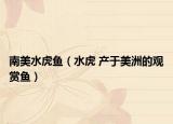 南美水虎鱼（水虎 产于美洲的观赏鱼）