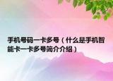 手机号码一卡多号（什么是手机智能卡一卡多号简介介绍）