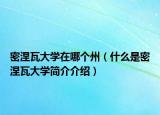 密涅瓦大学在哪个州（什么是密涅瓦大学简介介绍）