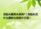 龙抬头要剪头发吗?（龙抬头为什么要剪头发简介介绍）