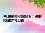 今日更新如何快速涨粉(dy刷粉网站推广马上刷)