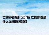 亡的部首是什么介绍 亡的部首是什么详细情况如何