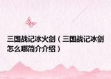 三国战记冰火剑（三国战记冰剑怎么哪简介介绍）