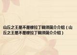 山丘之王是不是穆拉丁铜须简介介绍（山丘之王是不是穆拉丁铜须简介介绍）