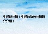生蚝能壮阳（生蚝的功效壮阳简介介绍）