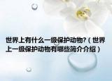 世界上有什么一级保护动物?（世界上一级保护动物有哪些简介介绍）