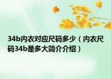34b内衣对应尺码多少（内衣尺码34b是多大简介介绍）